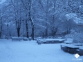 DSCF6163