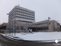 DSCF6337