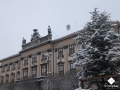 DSCF6375