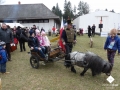 P1280873.jpg