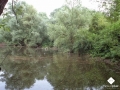 DSC00133