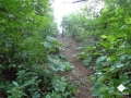 DSC00158