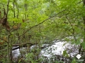 DSC00171