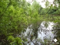 DSC00173