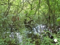 DSC00175