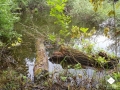 DSC00191