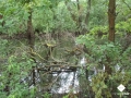 DSC00193