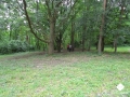 DSC00067