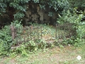 DSC00239