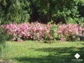 DSC00056