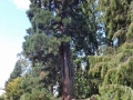 DSC00070