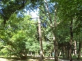 DSC00114