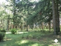 DSC00121