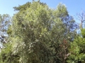 DSC00150