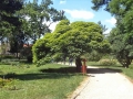 DSC00167
