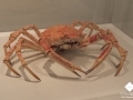 DSCF0932