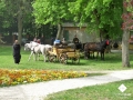 P1290776.jpg