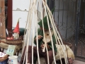DSCF1153