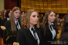 SUN_9725-2