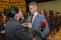 SUN_9774-2