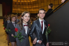 SUN_9863-2