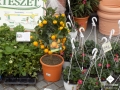 DSCN2834.jpg