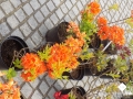 DSCN2860.jpg