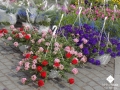 DSCN2871.jpg