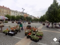 DSCN2904.jpg