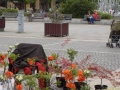 DSCN2905.jpg