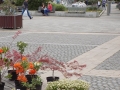 DSCN2906.jpg