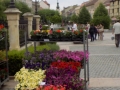 DSCN2914.jpg