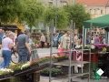 DSCN2920.jpg