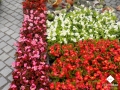 DSCN2932.jpg