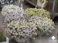 DSCN2939.jpg