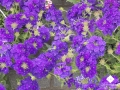 DSCN2940.jpg