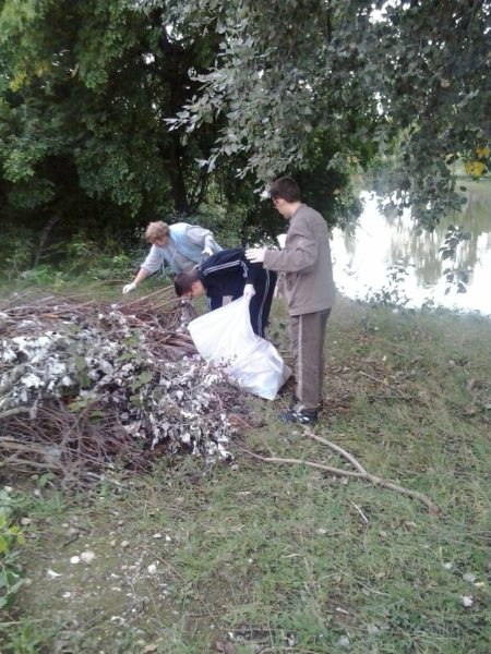 Forrás: Szombathelyi Szépítő Egyesület