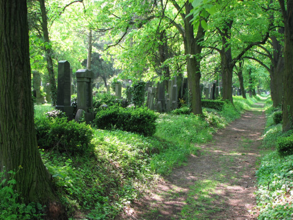 Zentralfriedhof / Ausztria, Bécs Közel 3 millióan alusszák örök álmukat a bécsi központi temetőben. A zenészvilág kiemelkedő alakjai nyugszanak itt, köztük Brahms, a Strauss-család, Schubert és Beethoven. (Forrás: mein.salzburg.com)