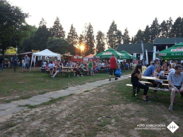 11780474_866892566740660_1998741599_n