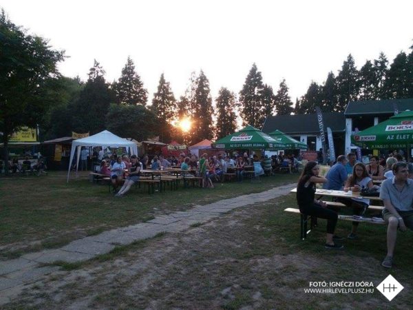 11787333_866893983407185_703634421_n