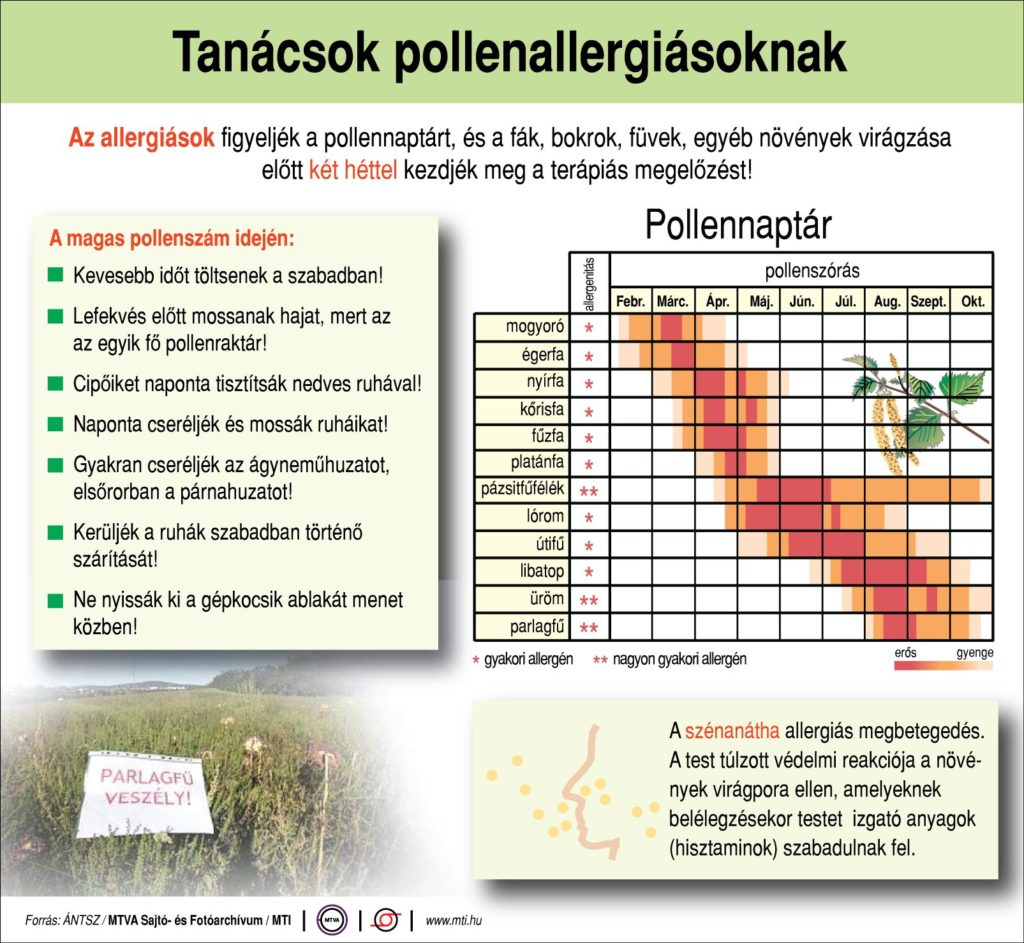 tanacsallergia_mti