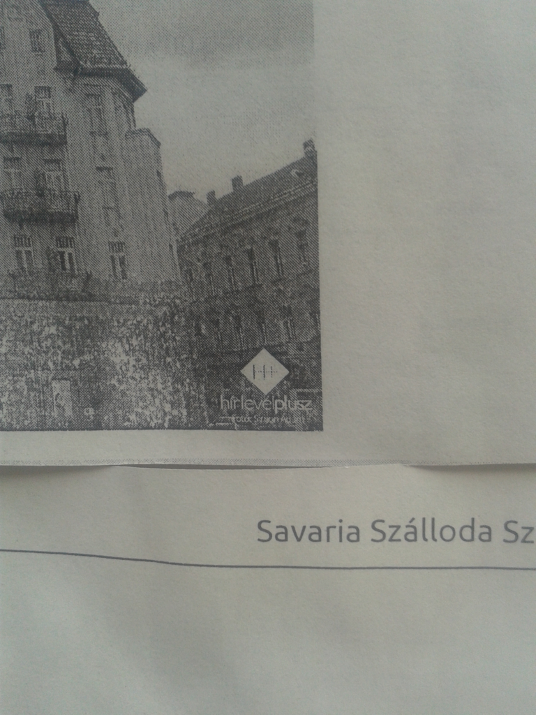 savariaszallo_h2