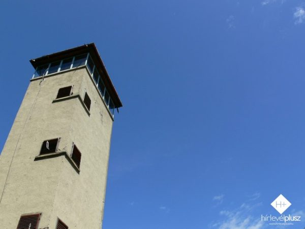 11665423_1613819355523567_8697082257987550147_n