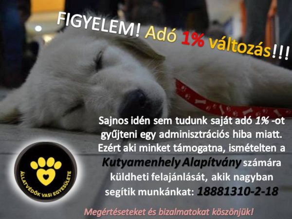 12662546_518649744989446_4194682717248699708_n