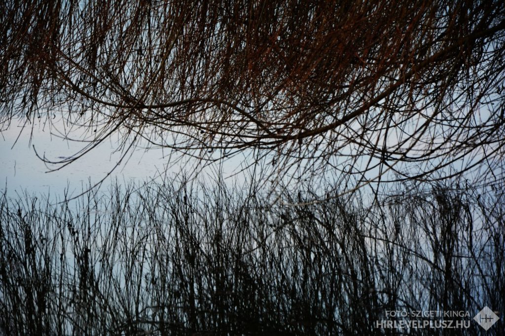 DSC_6260