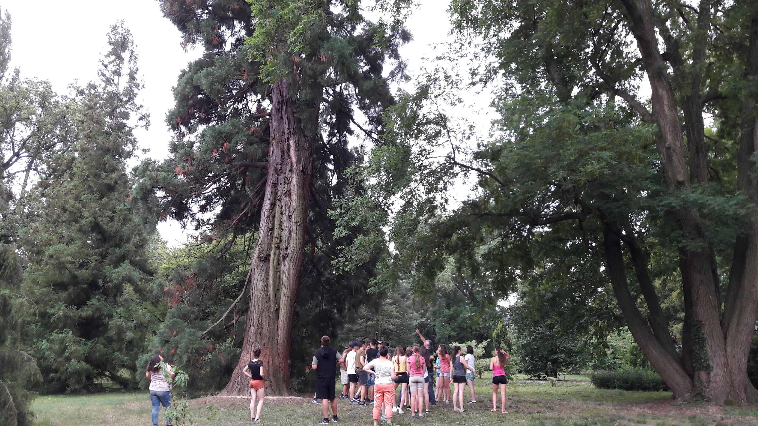 A Kámoni Arborétum sem maradt ki a látogatásból!