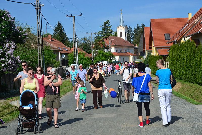 16 dolog, ami miatt imádjuk a tizenhatodik Herényi Virágutat!